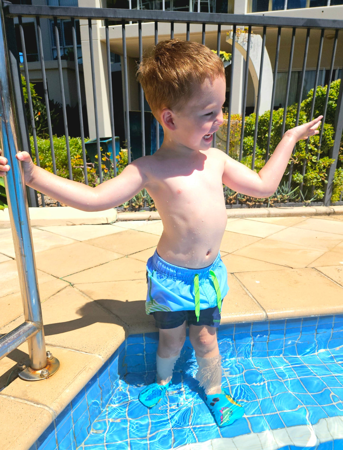 Toddler - Aqua Dino